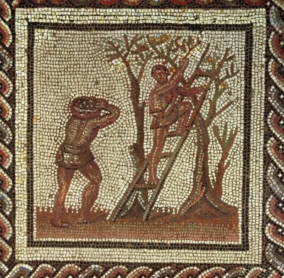 Picking Fruit, Roman Mosaic from Saint-Romain-en-Gal, France, AD 200-225 by Roman